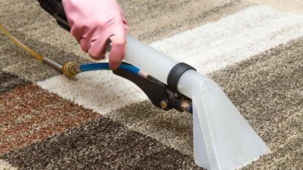 Area Rug Cleaning
