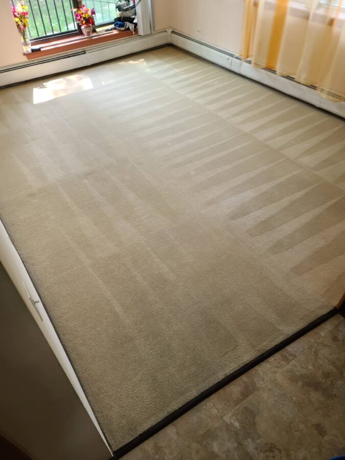 Carpet Cleaning After
