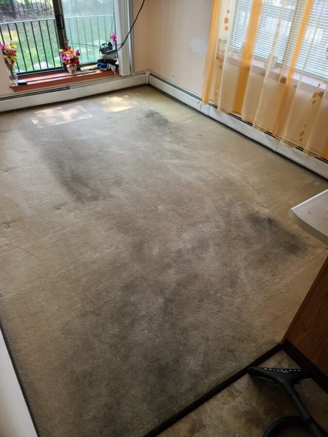 Carpet Cleaning - Before