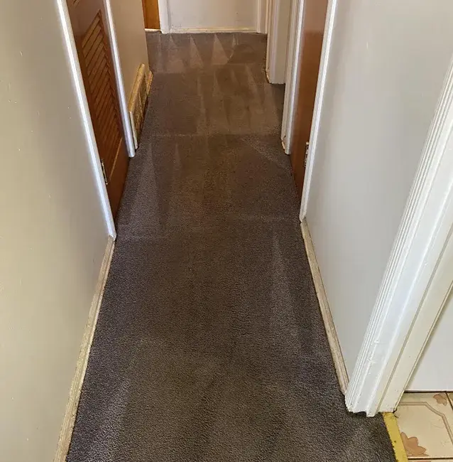 Carpet cleaning service after Neptune Cleaning process 2