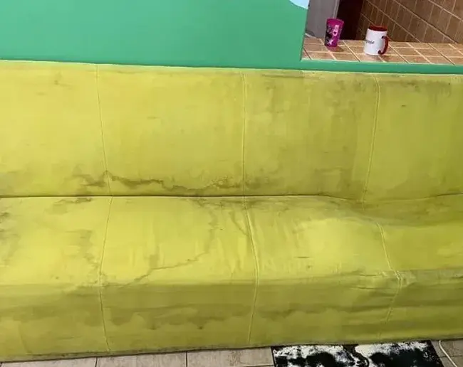 Upholstery cleaning service before Neptun Celaning service cleaning