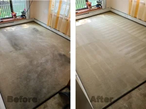 Carpet Before-After - Neptune Cleaning Inc